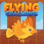 Flying Challenge